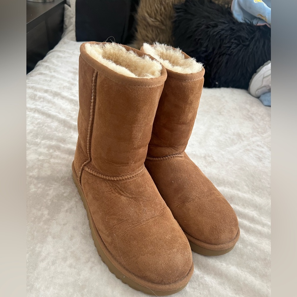 Short chestnut Uggs size 8